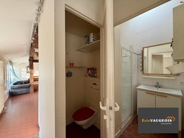 Coulommiers (77120) Maison bourgeoise - 3 habitations indépendantes - centre ville Coulommiers 77120