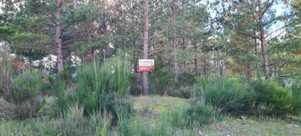 Terrain à vendre    1 278 m2 Casteljaloux