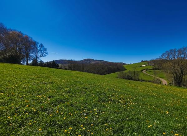 Terrain à bâtir 1315m² - Vue montagne Hasparren
