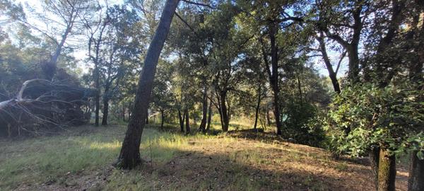 Maison familiale de 160 m²