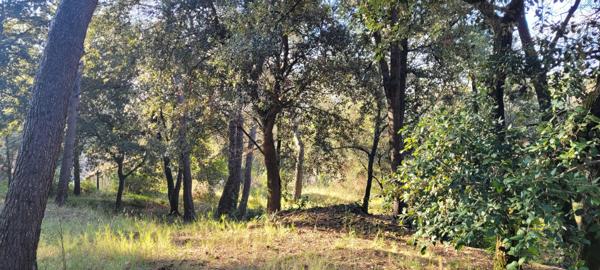 Maison familiale de 160 m²