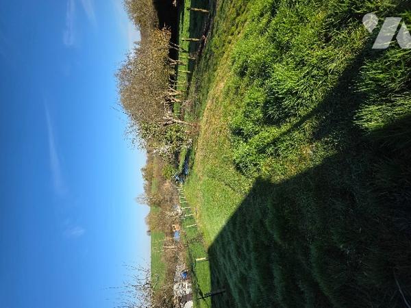 PAVILLON T5 à vendre NEUILLE PONT PIERRE (37360)