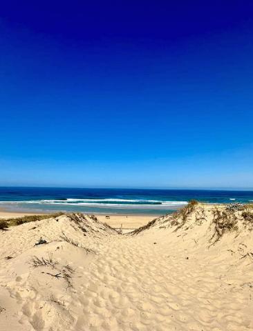 Villa Cap Ferret proche plage de l’Horizon, 5 pièces