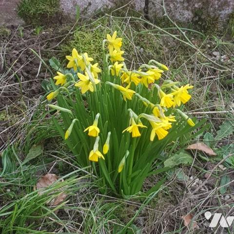 10703 A EPINAL (88000) 57 rue des Quatre Vents.