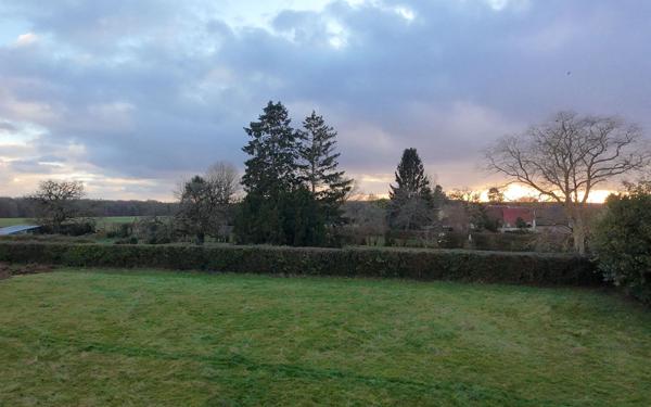 Terrain à vendre    Panilleuse