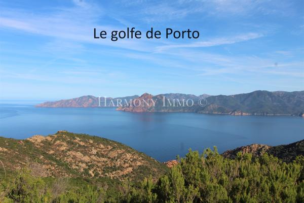 Très jolie vue mer panoramique sur le Golfe de Porto.