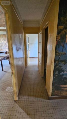 Maison à restaurer à vendre à Frignicourt dans la Marne (51300), ref : 51081/943