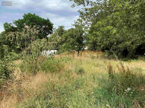 Achat - Maison Dompierre 61700 5 pièces 71 m 2 2197 m 2