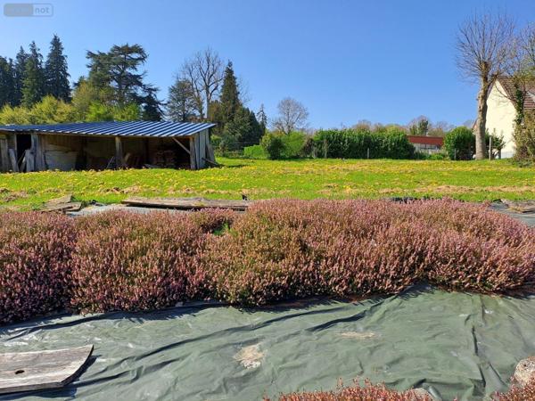 Maison à vendre à Condé-sur-Vire dans la Manche (50890), ref : 25-13