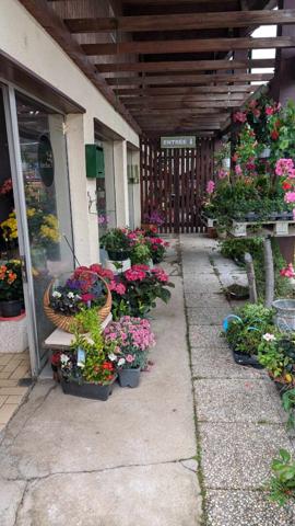 Vente Local commercial200 m² - LIGNY EN BARROIS (55500)