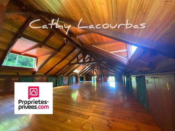 Unique - Habitation historique sur 3 hectares - Guadeloupe