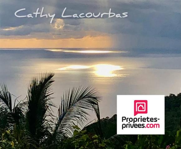 Unique - Habitation historique sur 3 hectares - Guadeloupe