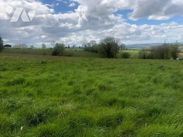 Parcelle de terre de 1500m² environ