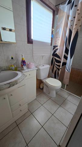 maisonnette avec cabanon sur joli terrain