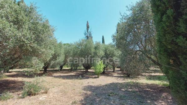 Propriete à vendre 7 pièces SAINT REMY DE PROVENCE (13)