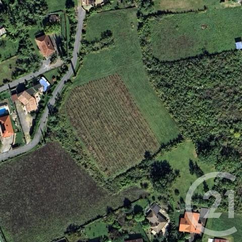 Terrain à vendre  2326 m 2   ALBI  - 81