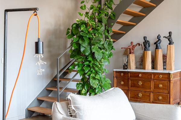 Loft dans une ancienne parfumerie