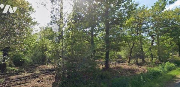 CHALLANS - Quartier privilégié