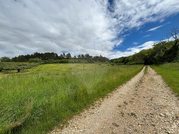 Terrain  en vente - Yonne - 89