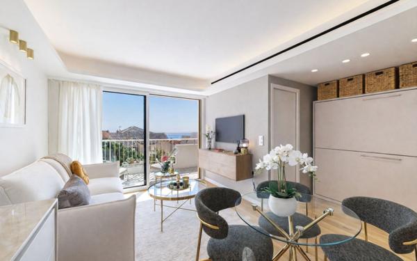 Appartement à vendre    1 pièce • 25,14 m2 Cannes