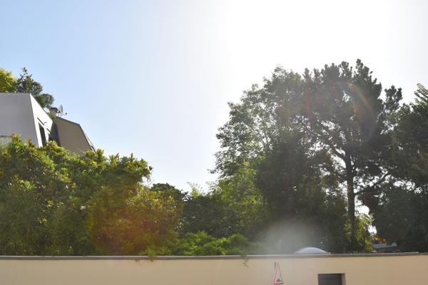 2 Pieces Boulogne Nord