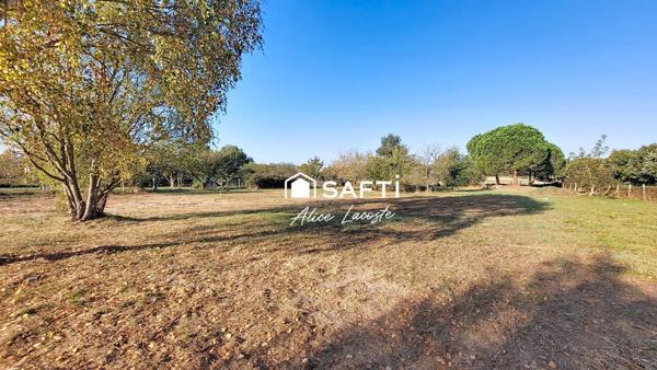 Chalet à ossature bois sur grand terrain arboré – Montaut