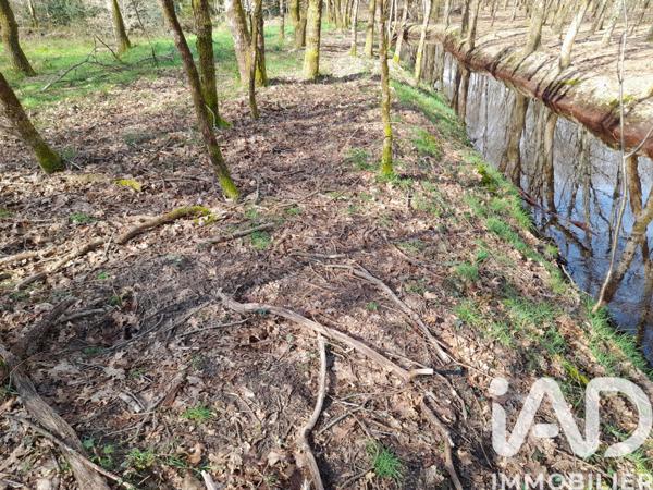 Terrain à vendre 20 620 m² Commensacq