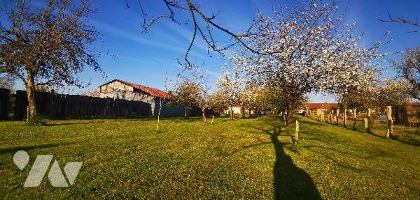 Vaste propriété 2 habitations avec terrains