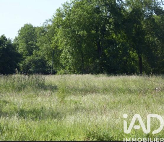 Terrain à vendre 815 m² Villevaudé