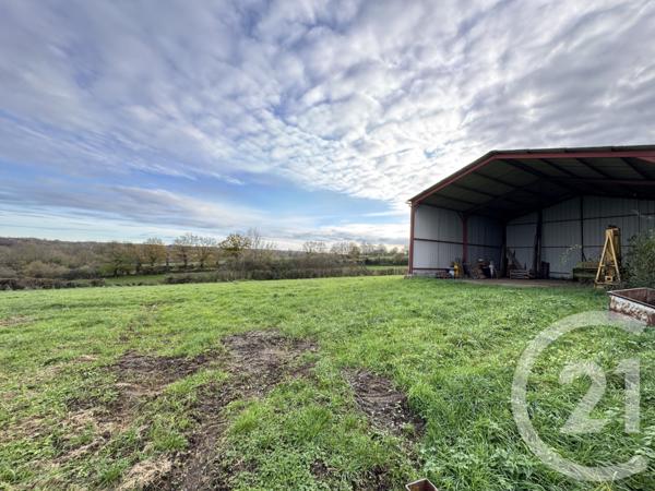 Terrain à vendre  6135 m2 CLUIS - 36