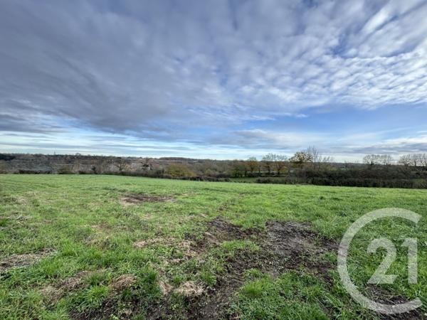 Terrain à vendre  6135 m2 CLUIS - 36