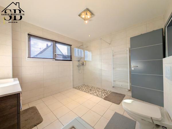 Kembs (68680) Maison contemporaine 2017 terrasse et jardin sans vis-à-vis plein Sud - DPE A / PAC + Clim + panneaux solaires