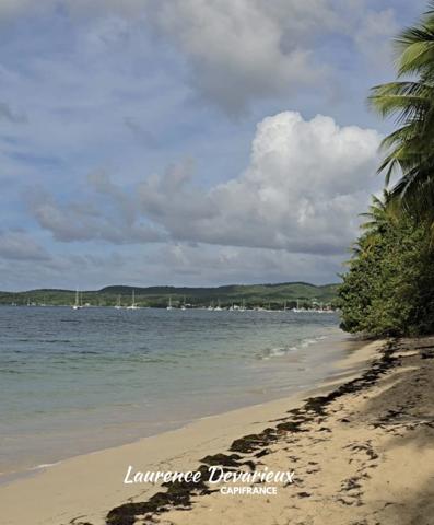 Appartement à vendre 1 pièces SAINT LOUIS (971)