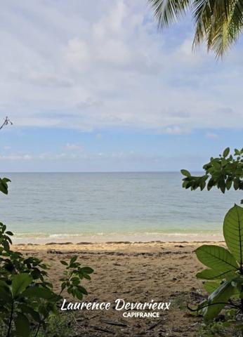 Appartement à vendre 1 pièces SAINT LOUIS (971)