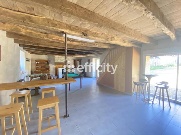 Maison 13 pièces - 395 m² Bien prestige