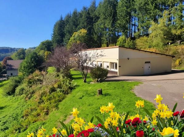 PROPRIETE vendre 20 pièces proche de REMIREMONT (88) sur 2,4 ha avec ETANG, SOURCE