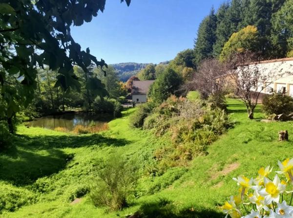 PROPRIETE vendre 20 pièces proche de REMIREMONT (88) sur 2,4 ha avec ETANG, SOURCE