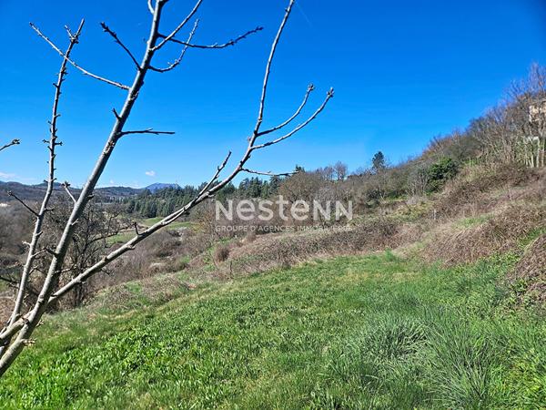 Charmante maison de village à vendre à Thèze - 3 pièces, 2 terrasses
