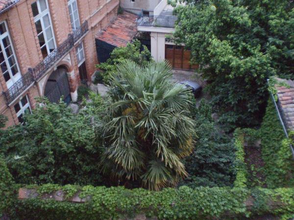 TOULOUSE HYPER CENTRE Appartement T3 67 M²