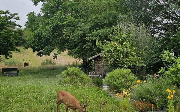 Maison à vendre    4 pièces •  Étréchy