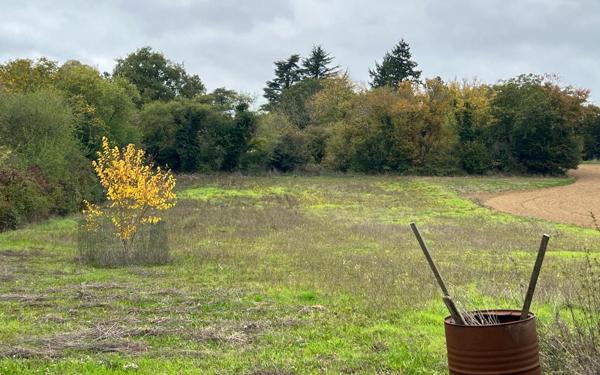 Maison à vendre    4 pièces •  Étréchy