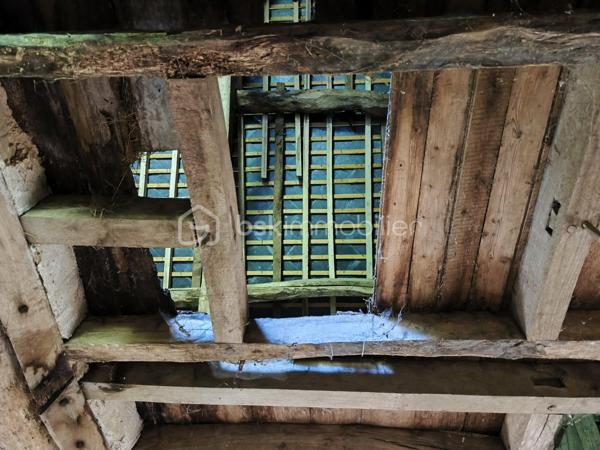 Amoureux de la nature, de calme de projets authentiques, ce bien rare est fait pour vous.

Au cœur d'un environnement préservé et verdoyant, découvrez cet ancien moulin en pierre d'environ 93 m2 au sol, offrant un projet de vie écologique ou de rénovation de caractère.

Implanté sur une magnifique parcelle d'un pue plus de 3 hectares, ce bien bénéficie d'un cadre naturel unique, propice à la sérénité, à l'autonomie et aux projets en harmonie avec l'environnement.

Le moulin est entièrement à rénover sauf la toiture qui a été refaite en 2001. Il ne dispose actuellement ni eau et ni électricité, laissant libre cours à un projet respectueux de la nature : habitat autonome, éco-lieu, refuge ou résidence secondaire pleine de charme.

A noter : Bien non viabilisé - travaux importants à prévoir, idéal pour les passionnés de rénovation et de projets durables.

Un lieu rare pour se reconnecter à l'essentiel et donner vie à un projet unique.

Contactez moi pour plus d'informations ou organiser une visite.