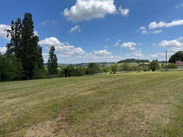 Grande parcelle constructible