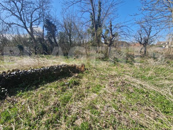 BARBEY – RARE SUR LE SECTEUR ! GRAND TERRAIN CONSTRUCTIBLE VIABILISÉ AVEC PUITS !