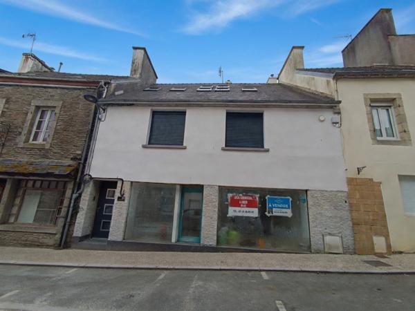 🏢 Immeuble mixte avec vue exceptionnelle - Centre-ville de Châteauneuf du Faou