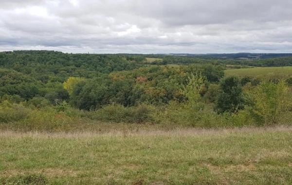 Vente Terrain Ordan-larroque   