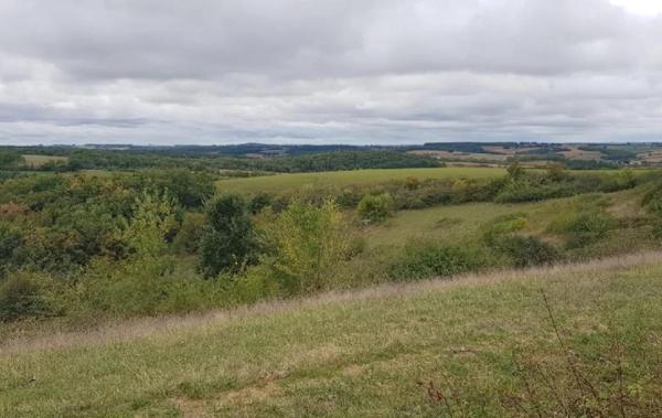 Vente Terrain Ordan-larroque   