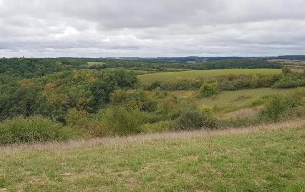 Vente Terrain Ordan-larroque   