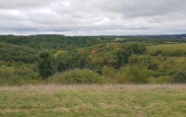 Vente Terrain Ordan-larroque   