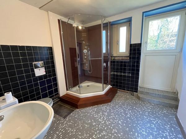 Amoureux de vieilles pierres! Cette maison est faite pour vous!